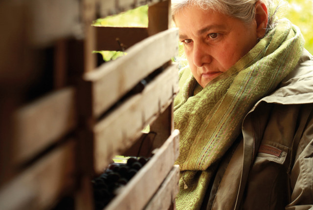 Dalla Valpolicella, la splendida storia di Marinella Camerani