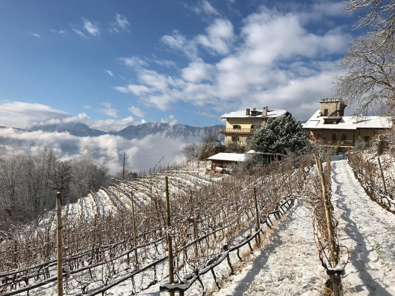 Maso Thaler Alto Adige Pinot Nero 2019