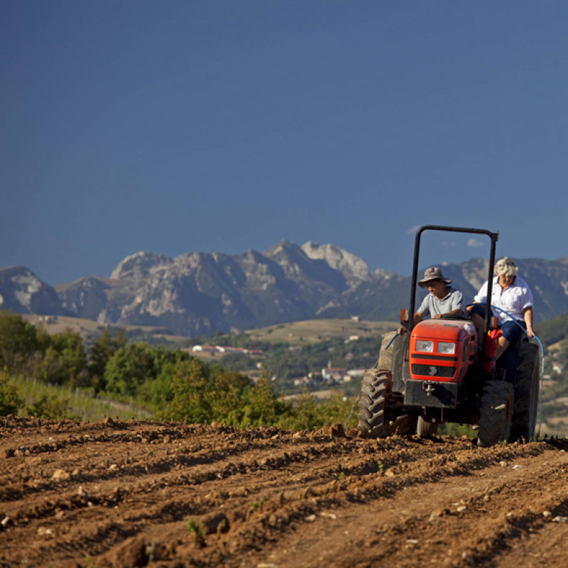 Corte Sant'Alda Valpolicella Ripasso Superiore Campi Magri 2019