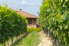Langhe Nebbiolo 2022