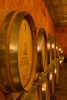 Langhe Nebbiolo 2022