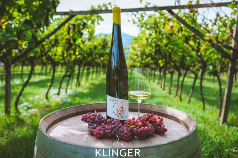 Klinger Gewurztraminer 2021