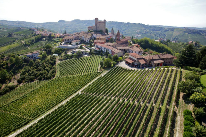 Barbera d'Alba Superiore 2020