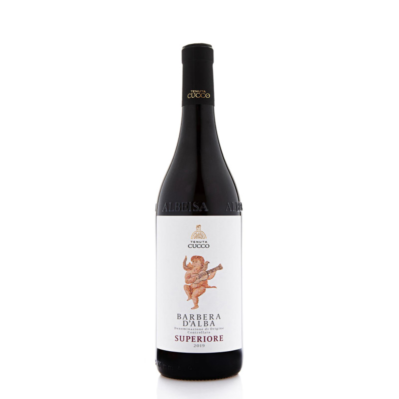 Barbera d'Alba Superiore 2021