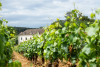 Chateau de Garnerot Bourgogne Rouge Terres de Garnerot 2020