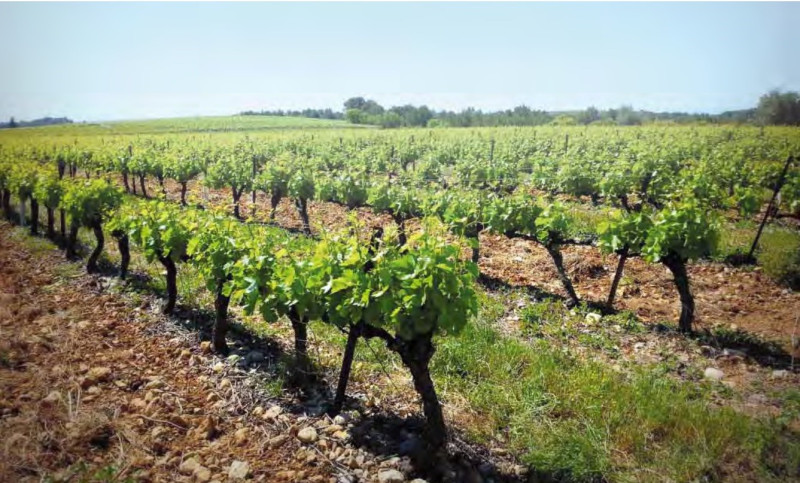 J. Laurens Crémant de Limoux Les Graimenous