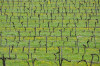 Monbazillac Domaine de L'Ancienne Cure Jour de Fruit Demi 0,375L 2021