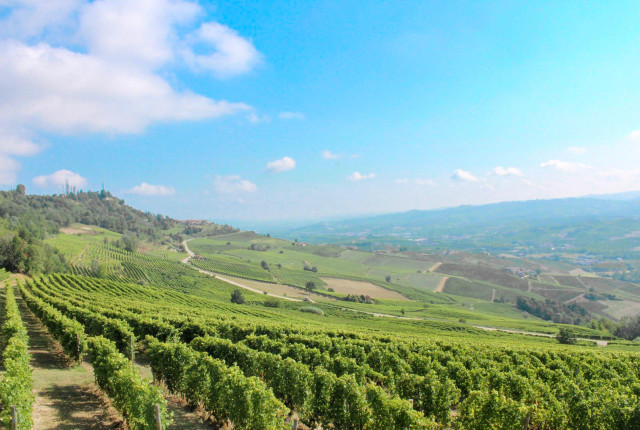 Langhe, un territorio meta obbligatoria per gli amanti del vino italiano