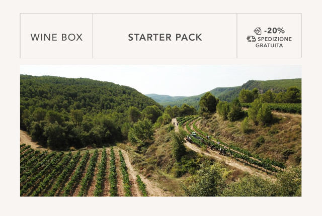 Enovely Starter Pack: 6 grandi vini da territori unici al 20% di sconto e spedizione gratuita!