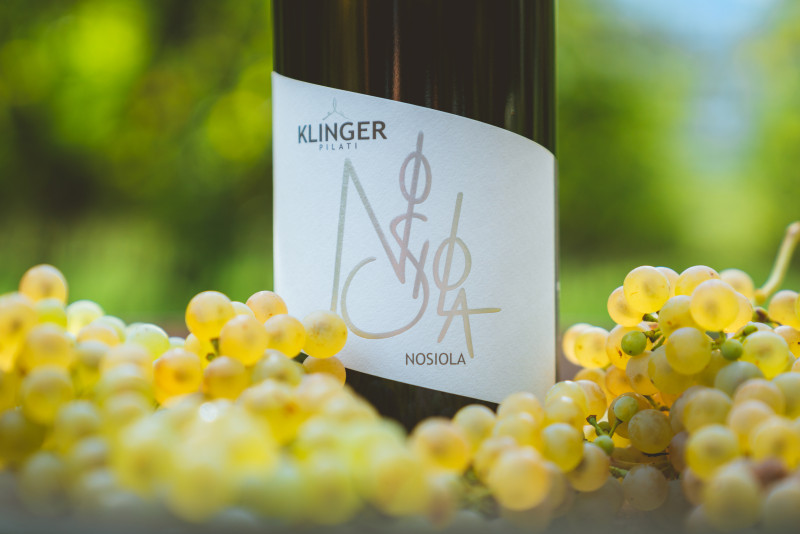 Klinger Nosiola 2022