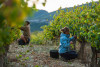 Cros des Calades Gavel Chardonnay 2023