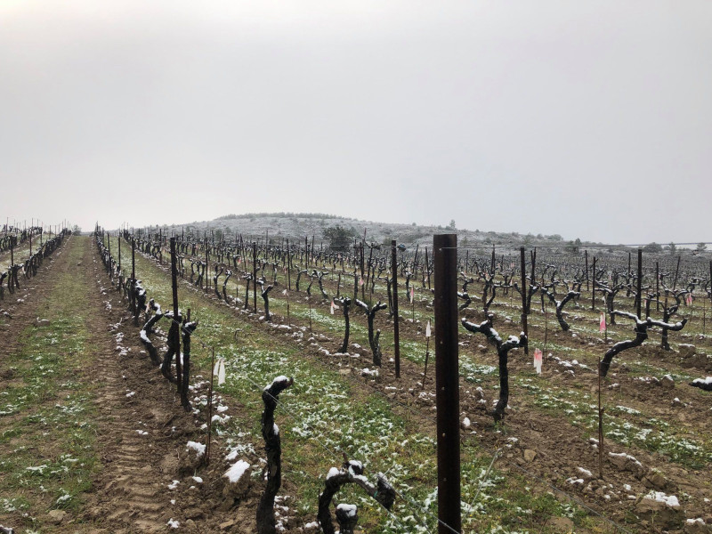Cros des Calades Gavel Chardonnay 2023