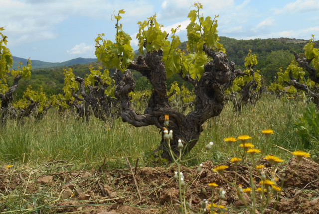 L'insolita Francia - Enovely Wine Box