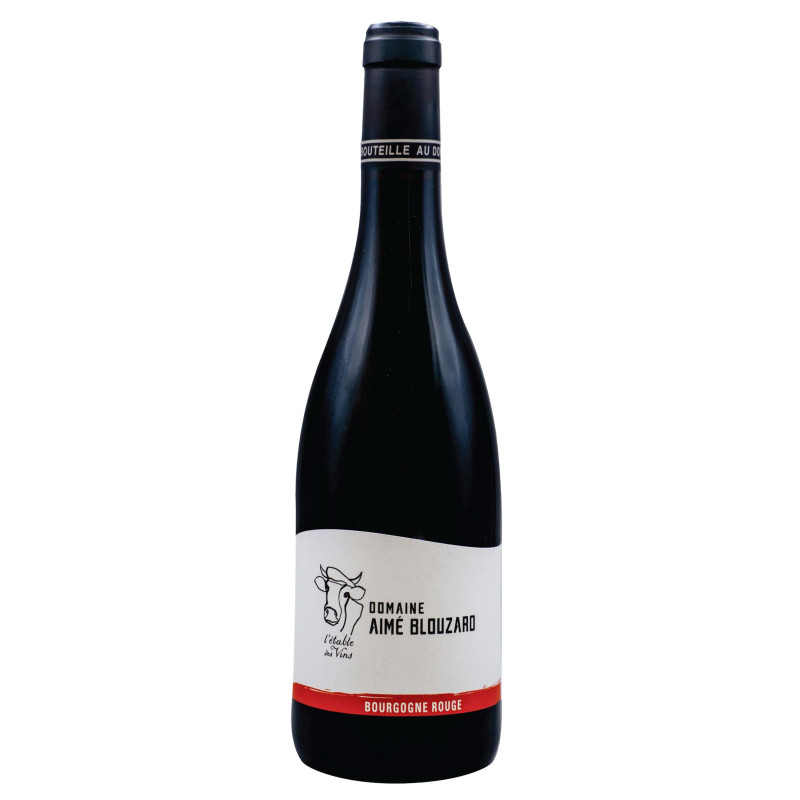 Bourgogne Pinot Noir Aime Blouzard 2023