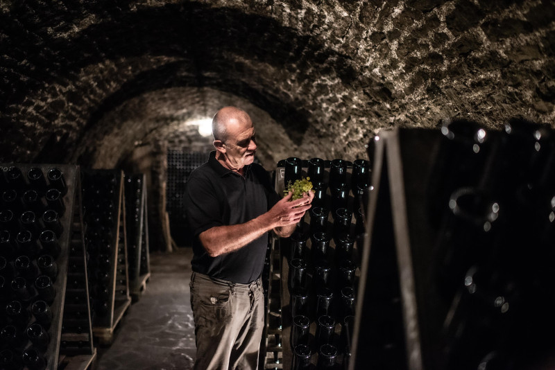 Trentodoc Balter Nature S.A.