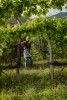 Befehlhof Sallent Extra Brut