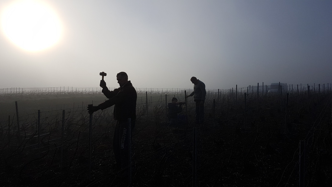 Champagne Claude Michez