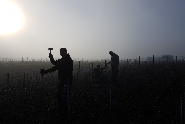 Champagne Claude Michez