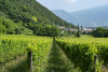 Le Fraghe Bardolino 2024