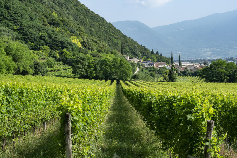 Le Fraghe Bardolino 2024