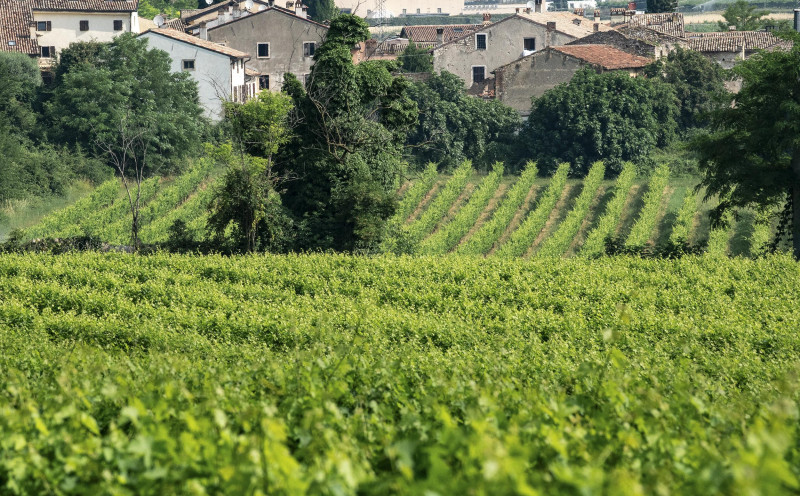 Le Fraghe Bardolino 2024