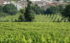 Le Fraghe Bardolino 2024