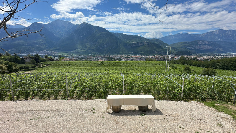 Pinot Nero Tonera 2023