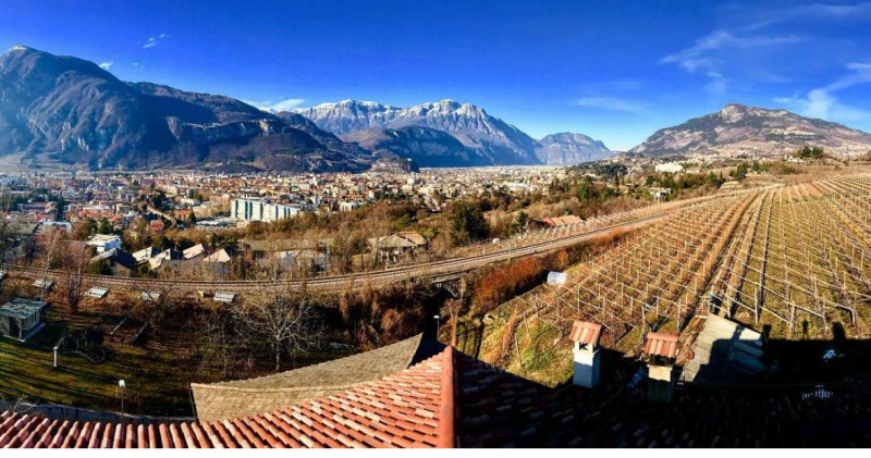 Pinot Nero Tonera 2023