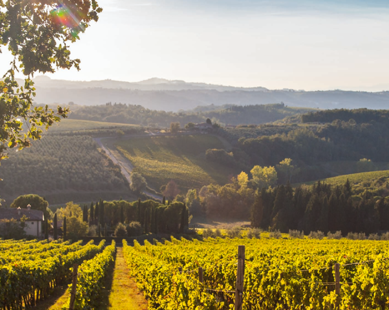 Tignanello Antinori 2022