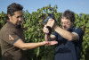 Salento Primitivo "Primiter" 2023