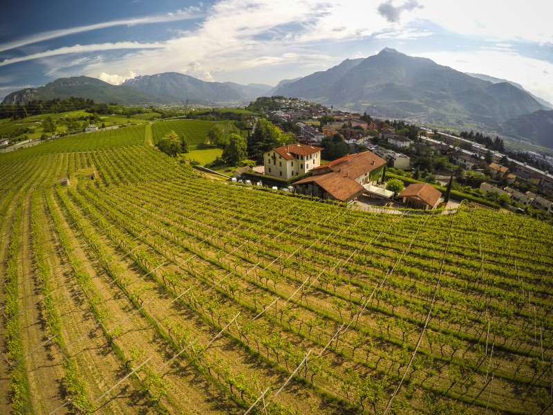 Trentodoc Riserva Ros&eacute; Brut Monsieur Martis 2020