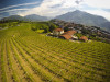 Trentodoc Riserva Ros&eacute; Brut Monsieur Martis 2020