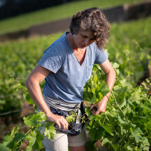 DOMAINE LOUIS CHENU