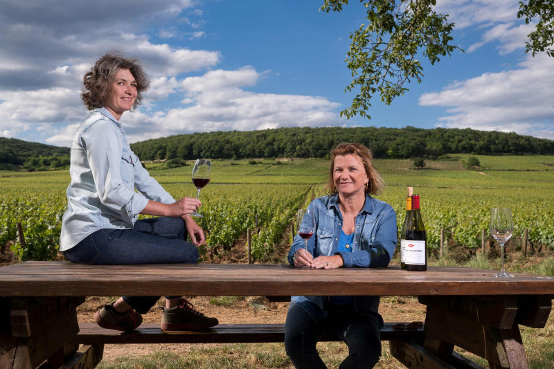 Louis Chenu Savigny-l&egrave;s-Beaune Vieilles Vignes 2023