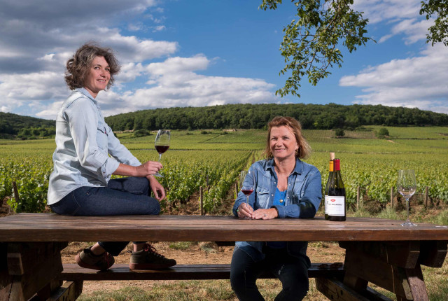 DOMAINE LOUIS CHENU