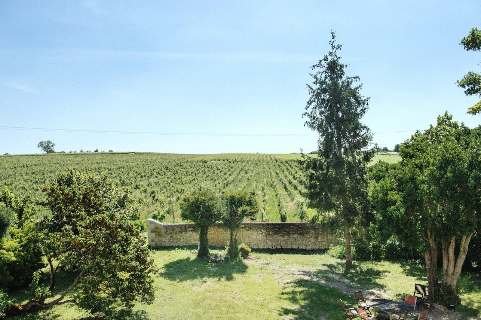 cig-cozy-gallery-3532st7-Vue-sur-les-vignes-copie-2-xxl.jpg