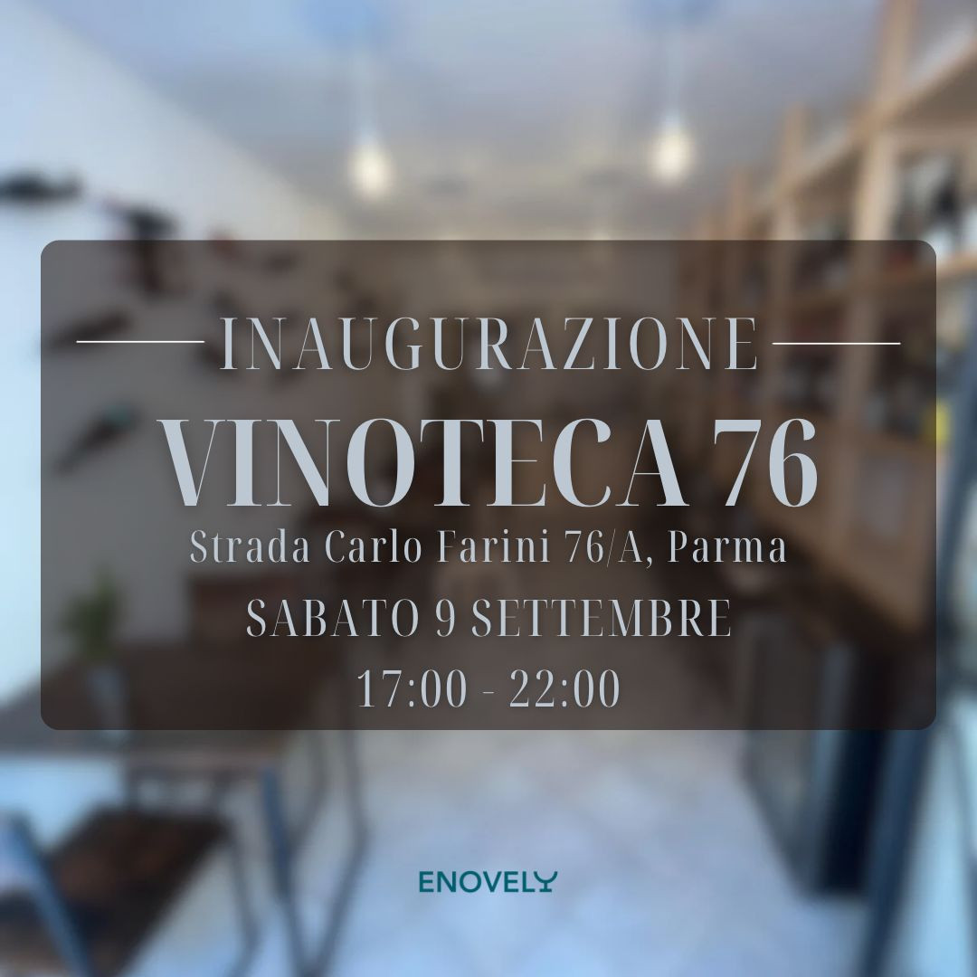 Immagine WhatsApp 2023-08-23 ore 18.39.15.jpg